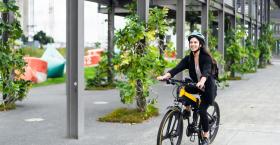 Sustainability and Employee Well-Being: Lessons from Google’s E-Bike Program